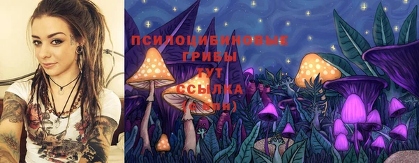 ALPHA-PVP Алексин